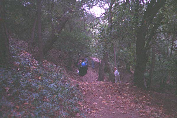Zip line in use -- by Bill