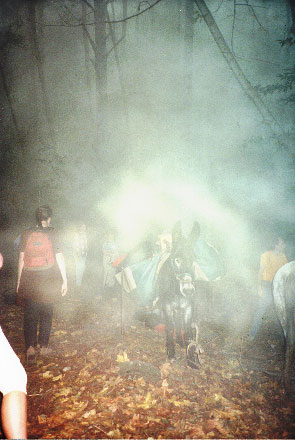 Hikers and mule in Fog -- by Valerie
